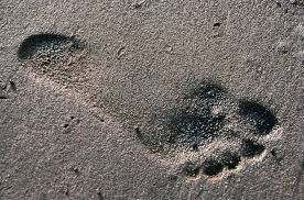 Human footprint in sand